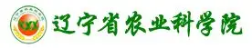 u球体育入口-包含刚刚！集结日明尼苏达森林狼备战中超广厦男篮今晚迎来里程碑，Scout连续十二场比赛得分超过出色防守的词条